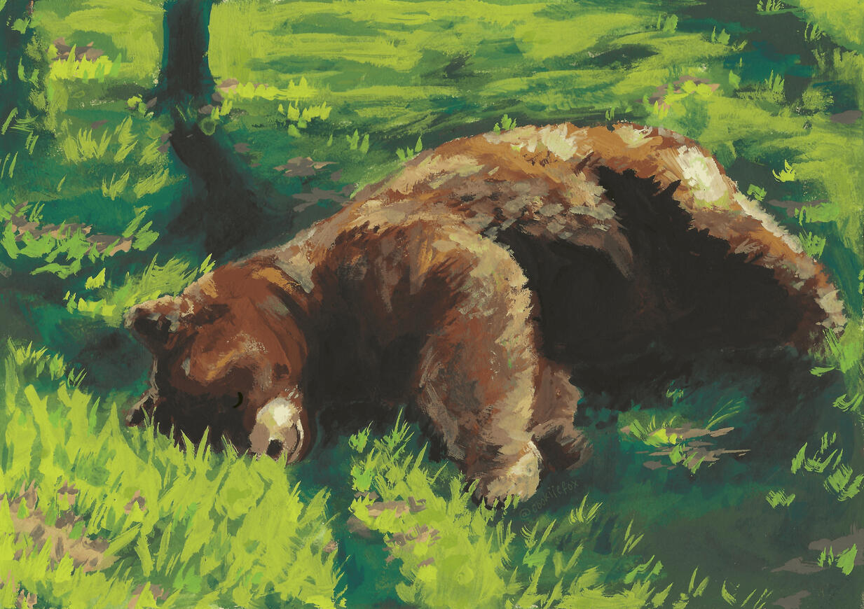 Sleepy Bear, 2025. Gouache Paint